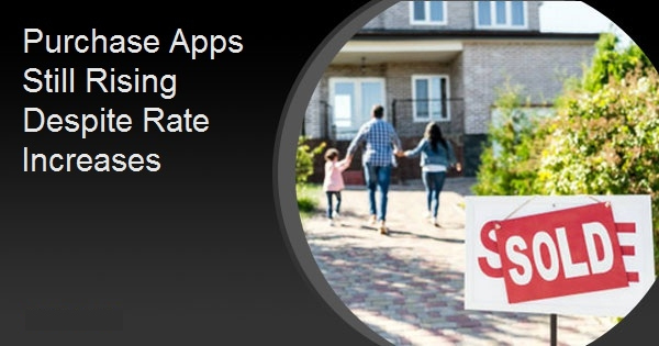 Purchase Apps Still Rising Despite Rate Increases